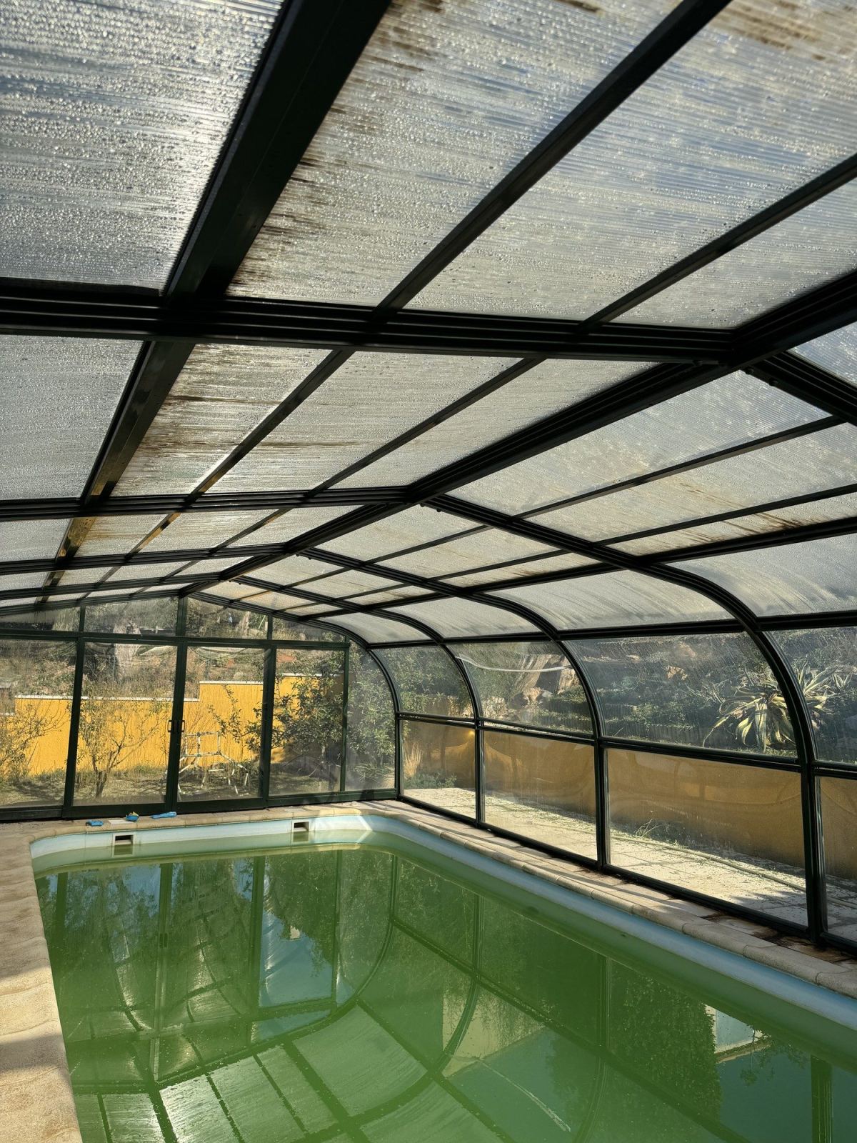 Piscine visible depuis l’intérieur d’un abri cintré transparent.