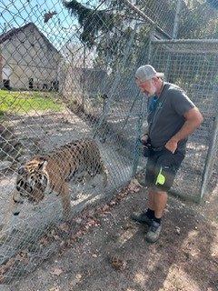 Un membre de l’équipe près d’un tigre, séparés par le grillage d’un enclos.